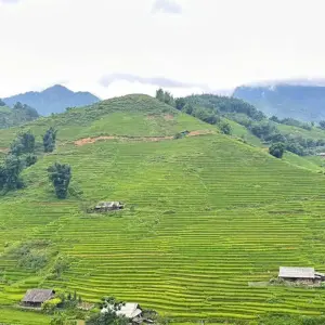 Explore Luxury Hanoi - Sapa 3D2N trekking all included with local guide for 3 days with Best Vietnam Tours and discover unforgettable experiences - Photo 11