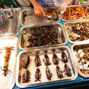 Explore Thailand & Vietnam Culinary Adventure for 15 days with BestPrice Travel and discover unforgettable experiences - Photo 8