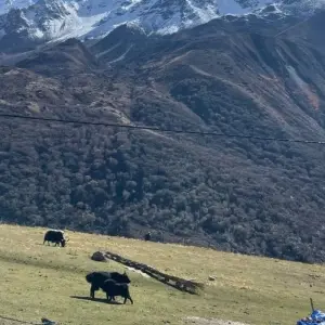 Explore Langtang Valley Trek for 10 days with Beyond The Limits Treks and Expedition and discover unforgettable experiences - Photo 2