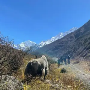 Explore Langtang Valley Trek for 10 days with Beyond The Limits Treks and Expedition and discover unforgettable experiences - Photo 5