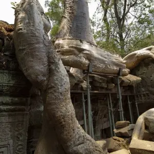 Explore Cambodia Highlight 10 Days for 10 days with BestPrice Travel and discover unforgettable experiences - Photo 10