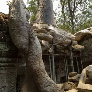 Explore Cambodia Family Holiday with Beach Relax 12 days for 12 days with BestPrice Travel and discover unforgettable experiences - Photo 10