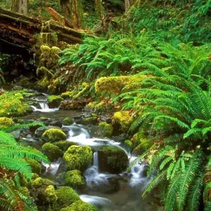 Explore 5-Day Wildlife Photography Tour for 5 days with Beyond Escapes and discover unforgettable experiences - Photo 5