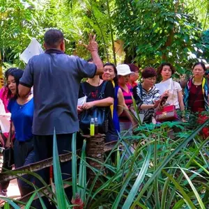 Explore 4-Day Essence of Sri Lanka Tour for 4 days with Beyond Escapes and discover unforgettable experiences - Photo 5