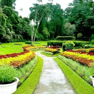 Explore 2-Day All-Inclusive Kandy And Nuwara Eliya Tour for 2 days with Beyond Escapes and discover unforgettable experiences - Photo 5