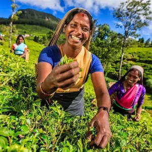 Explore 6-Day Central Highlands UNESCO World heritage adventure tour for 6 days with Beyond Escapes and discover unforgettable experiences - Photo 9