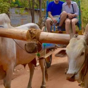 Explore 4-Day Essence of Sri Lanka Tour for 4 days with Beyond Escapes and discover unforgettable experiences - Photo 6