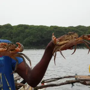 Explore 5-Day Negombo Sightseeing & Beach for 5 days with Beyond Escapes and discover unforgettable experiences - Photo 9