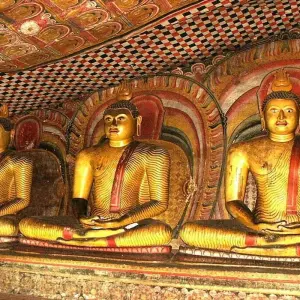 Explore 3-Day Glimpse of Sri Lanka Private Tour for 3 days with Beyond Escapes and discover unforgettable experiences - Photo 2