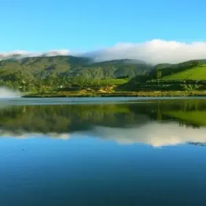 Explore 2-Day All-Inclusive Kandy And Nuwara Eliya Tour for 2 days with Beyond Escapes and discover unforgettable experiences - Photo 6