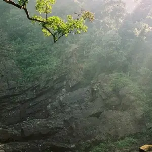 Explore 5-Day Wildlife Photography Tour for 5 days with Beyond Escapes and discover unforgettable experiences - Photo 7