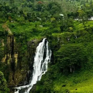 Explore 2-Day All-Inclusive Kandy And Nuwara Eliya Tour for 2 days with Beyond Escapes and discover unforgettable experiences - Photo 8