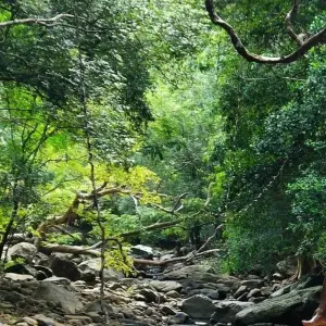 Explore Overnight Trekking to Knuckles & Meemure with camping for 2 days with Beyond Escapes and discover unforgettable experiences - Photo 3