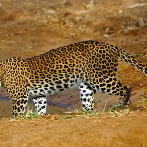 Explore 5-Day Wildlife Photography Tour for 5 days with Beyond Escapes and discover unforgettable experiences - Photo 9