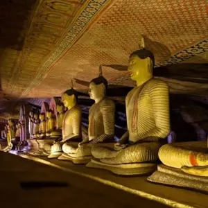 Explore 4-Day Essence of Sri Lanka Tour for 4 days with Beyond Escapes and discover unforgettable experiences - Photo 9