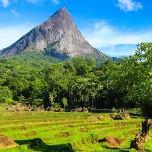 Explore Overnight Trekking to Knuckles & Meemure with camping for 2 days with Beyond Escapes and discover unforgettable experiences - Photo 4