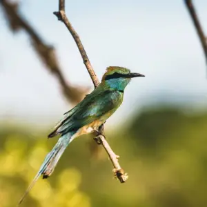 Explore 5-Day Wildlife Photography Tour for 5 days with Beyond Escapes and discover unforgettable experiences - Photo 10