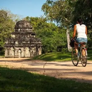 Explore 4-Day Essence of Sri Lanka Tour for 4 days with Beyond Escapes and discover unforgettable experiences - Photo 10