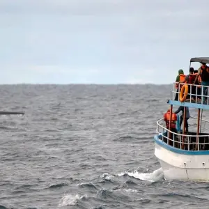 Explore 7-Day Paradise Island Honeymoon tour for 7 days with Beyond Escapes and discover unforgettable experiences - Photo 5