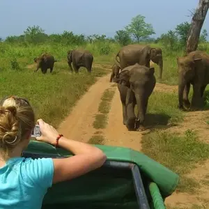 Explore 10-Day Nature and Wildlife Tour in Sri Lanka for 10 days with Beyond Escapes and discover unforgettable experiences - Photo 7