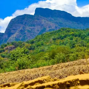 Explore Overnight Trekking to Knuckles & Meemure with camping for 2 days with Beyond Escapes and discover unforgettable experiences - Photo 6