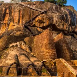 Explore 3-Day Glimpse of Sri Lanka Private Tour for 3 days with Beyond Escapes and discover unforgettable experiences - Photo 7