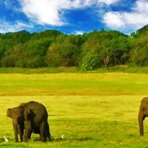 Explore Overnight adventure tour to Gal Oya National Park with Return Transfers for 2 days with Beyond Escapes and discover unforgettable experiences - Photo 3