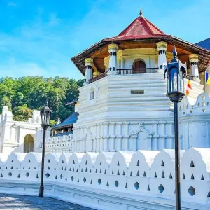 Explore 3-Day Glimpse of Sri Lanka Private Tour for 3 days with Beyond Escapes and discover unforgettable experiences - Photo 10