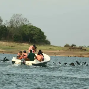 Explore Overnight adventure tour to Gal Oya National Park with Return Transfers for 2 days with Beyond Escapes and discover unforgettable experiences - Photo 8