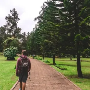 Explore 8-Day Romantic Honeymoon tour for 8 days with Beyond Escapes and discover unforgettable experiences - Photo 5