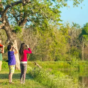 Explore 9-Day Tour of Undiscovered Sri Lanka for 9 days with Beyond Escapes and discover unforgettable experiences - Photo 3