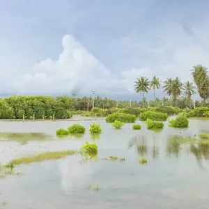 Explore 7-Day Amazing Sri Lanka hideouts for 7 days with Beyond Escapes and discover unforgettable experiences - Photo 3