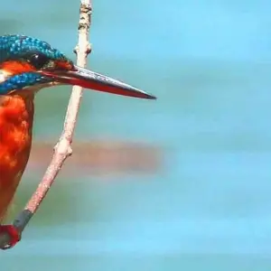 Explore 4-Day Romance on the Beach for 4 days with Beyond Escapes and discover unforgettable experiences - Photo 6