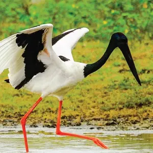 Explore 4-Day Glamping & Photography Tour for 4 days with Beyond Escapes and discover unforgettable experiences - Photo 3