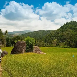 Explore 6-Day Authentic Experiences in Sri Lanka for 6 days with Beyond Escapes and discover unforgettable experiences - Photo 6