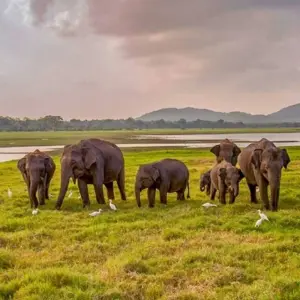 Explore 5-Day Pasikuda Sightseeing & Beach for 5 days with Beyond Escapes and discover unforgettable experiences - Photo 5