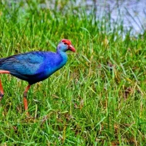 Explore 4-Day Romance on the Beach for 4 days with Beyond Escapes and discover unforgettable experiences - Photo 7