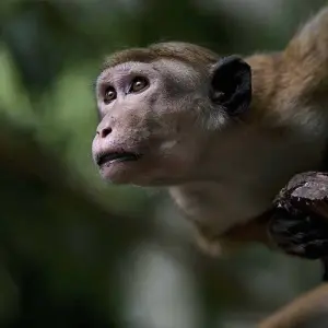 Explore 4-Day Glamping & Photography Tour for 4 days with Beyond Escapes and discover unforgettable experiences - Photo 4