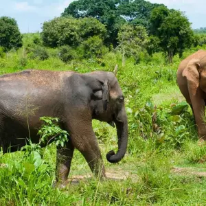 Explore 5-Day Pasikuda Sightseeing & Beach for 5 days with Beyond Escapes and discover unforgettable experiences - Photo 6