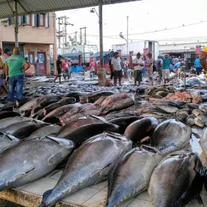 Explore 4-Day Romance on the Beach for 4 days with Beyond Escapes and discover unforgettable experiences - Photo 9