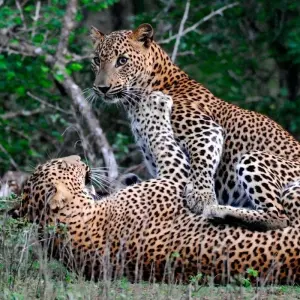 Explore 4-Day Glamping & Photography Tour for 4 days with Beyond Escapes and discover unforgettable experiences - Photo 10