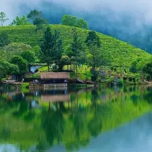 Explore Overnight All-Inclusive Tea Plantation Adventure in Kandy for 2 days with Beyond Escapes and discover unforgettable experiences - Photo 5