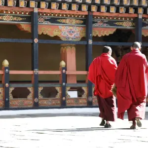 Explore Best of Bhutan Tour( Culture- Hikes- Short Trek- Monastic Stay) for 5 days with Bhutan Best Inbound Tour and discover unforgettable experiences - Photo 6