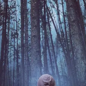 Explore Overnight All-Inclusive Tea Plantation Adventure in Kandy for 2 days with Beyond Escapes and discover unforgettable experiences - Photo 9