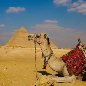 Explore Private Egyptian Odyssey Tour *Cairo, Aswan, Luxor, Sharm El-Sheikh* Buffet dinner Nile cruise and Abu Simbel Included for 12 days with Beyond tourz and discover unforgettable experiences - Photo 5