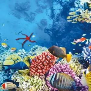 Explore Luxurious Egypt (5* Nile cruise/ hurghadal all inclusive )with  domestic flight for 9 days with Beyond The Nile Tours and discover unforgettable experiences - Photo 3