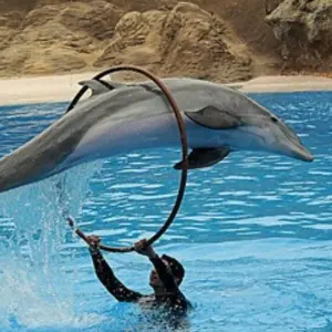 Explore Luxurious Egypt (5* Nile cruise/ hurghadal all inclusive )with  domestic flight for 9 days with Beyond The Nile Tours and discover unforgettable experiences - Photo 4