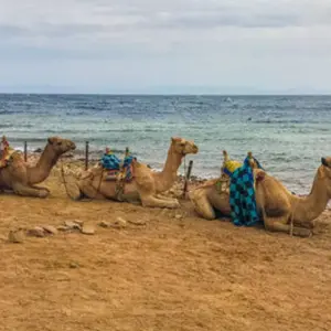 Explore Luxurious Egypt (5* Nile cruise/ hurghadal all inclusive )with  domestic flight for 9 days with Beyond The Nile Tours and discover unforgettable experiences - Photo 7