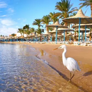 Explore 6 Days Cairo and Hurghada Budget holidays for 6 days with Beyond The Nile Tours and discover unforgettable experiences - Photo 2