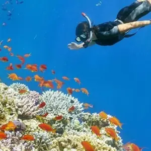 Explore 9 Days: From Pyramids to Nile Cruise and Red Sea - Return Flight Included for 9 days with Beyond The Nile Tours and discover unforgettable experiences - Photo 4